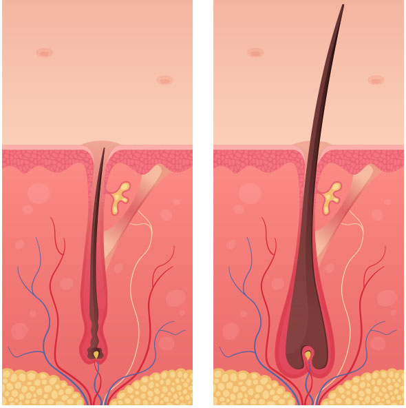 Trichomist Forte